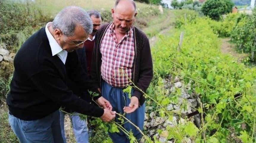 Mezitli K&ouml;ylerini Dolu Vurdu
