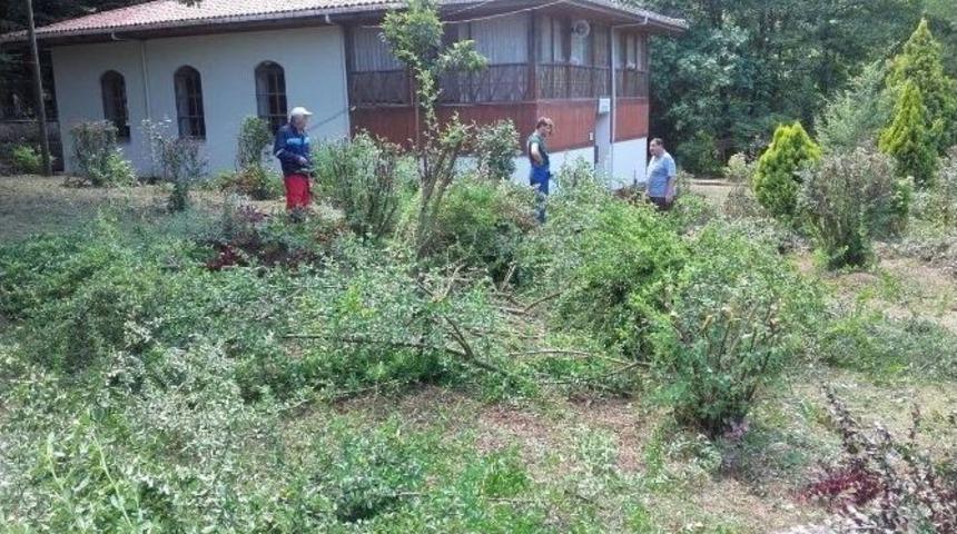 Evliya Cami &Ccedil;evresi Temizlendi