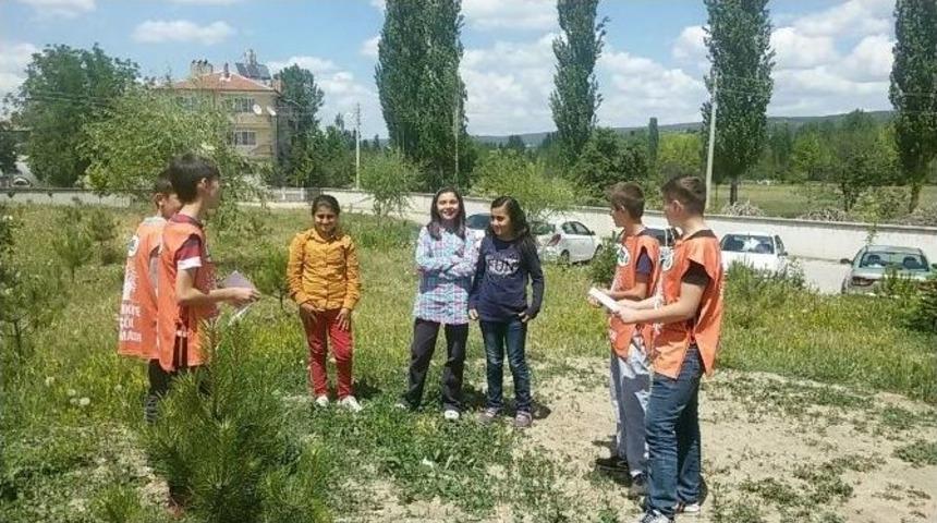 Şehitler Ortaokulu&rsquo;nda &Ccedil;evre Koruma Haftası Etkinlikleri