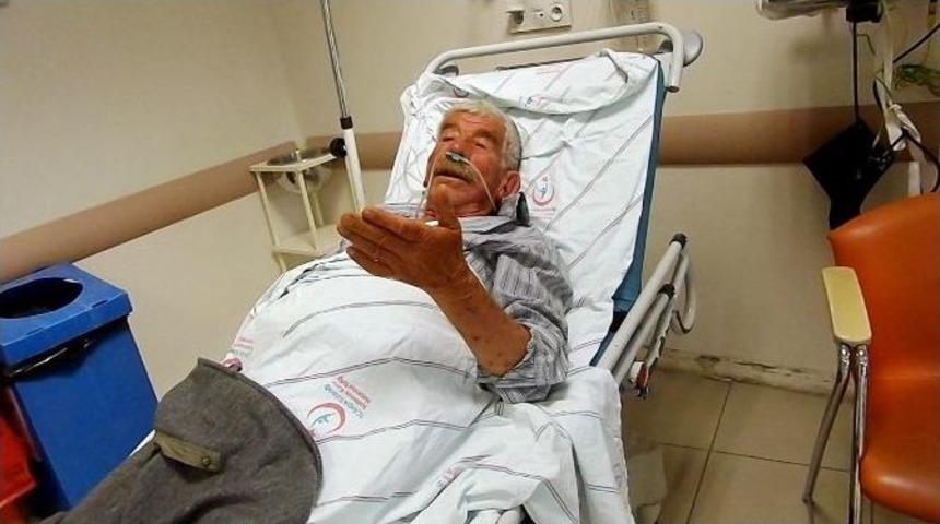 (&ouml;zel Haber) Arıların Saldırısına Uğrayan Yaşlı &Ccedil;ift Hastanelik Oldu