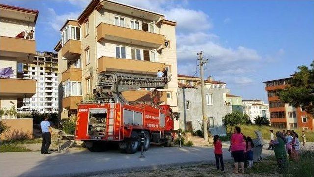 Nakliyeci Beklerken Uyuyakaldı