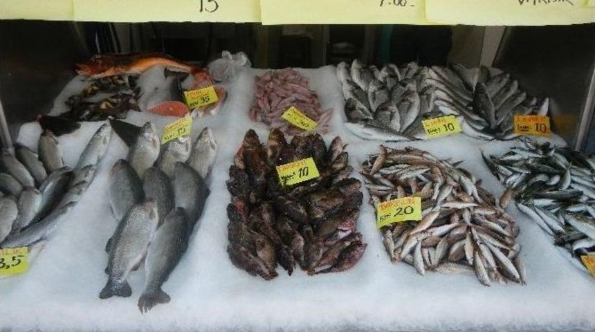 İftar Sofralarına Balık Satamayan Ak&ccedil;akocalı Balık&ccedil;ılar İsyan Etti