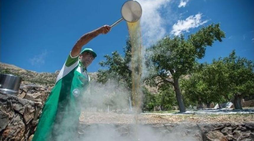 Tut&rsquo;da &lsquo;dut&rsquo; Hasadı Başladı