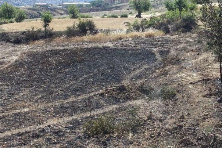 Yangın 25 Dönümlük Ekili Araziyi Küle Çevirdi