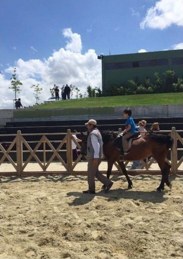 Down Sendromlu Ve Otizmli Çocuklar Sultangazi’de Atla Terapi Yaptı