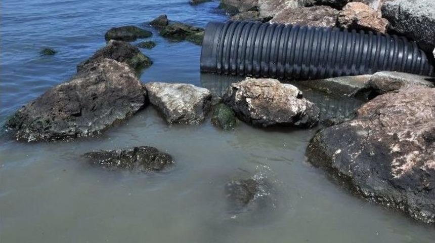 Baski Kıyıdaki Rezalete El Attı