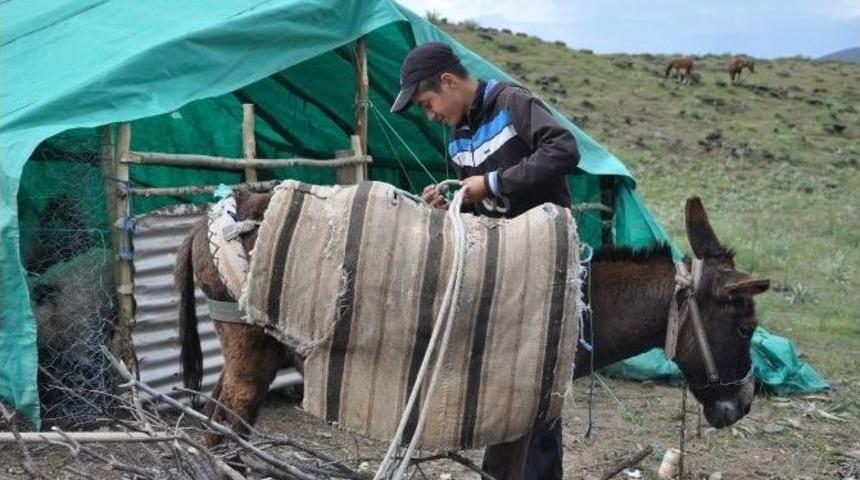 Tuncelili &Ccedil;oban Mahir&rsquo;in Teog Başarısı