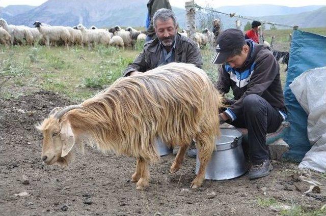 Tuncelili Çoban Mahir’in Teog Başarısı