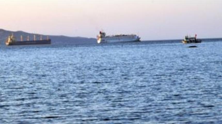 Angus Gemisi Bandırma A&ccedil;ıklarında Bekliyor