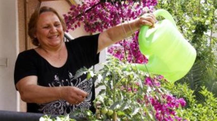 Balkon Tarımında İlk Fideler &Uuml;r&uuml;n Verdi