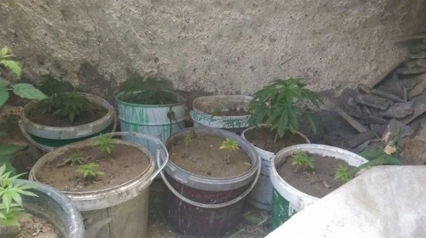 Eskişehir Polisi Uyuşturucuya Geçit Vermiyor