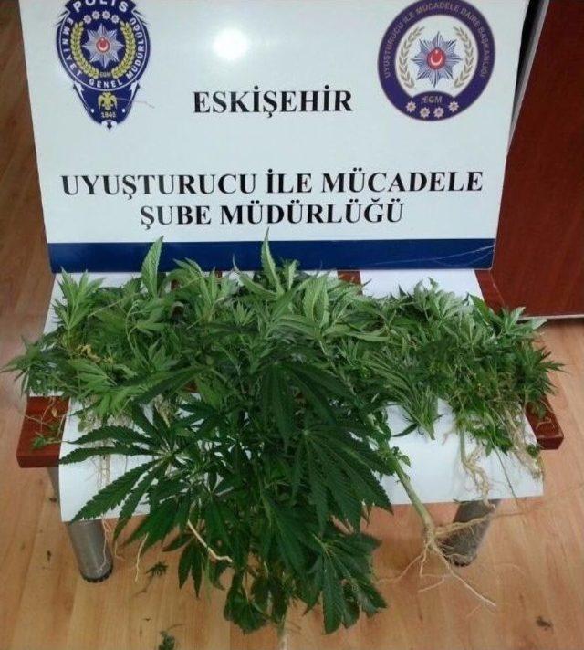 Eskişehir Polisi Uyuşturucuya Geçit Vermiyor