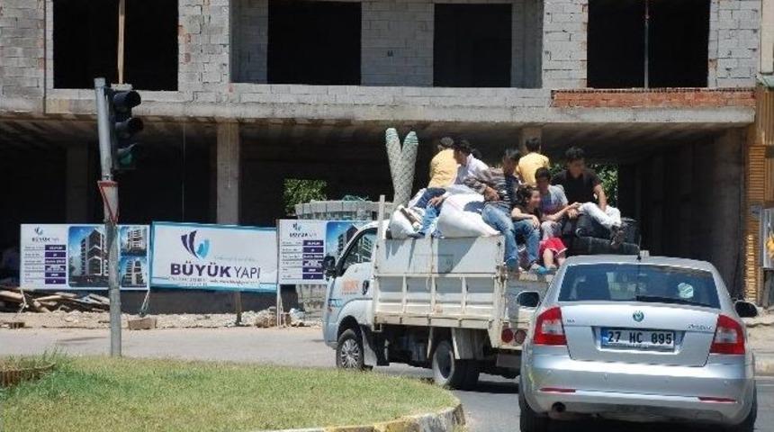 Kamyonet Kasasında Tehlikeli Yolculuk