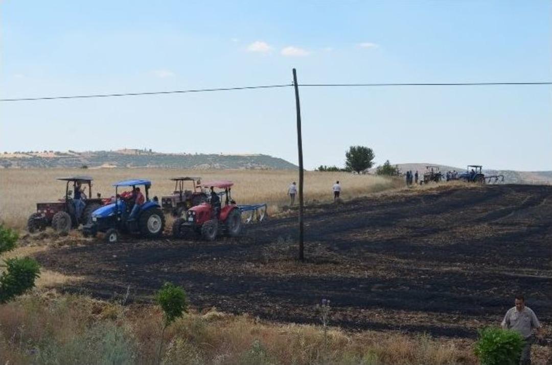 50 D&ouml;n&uuml;m Tarla K&uuml;le D&ouml;nd&uuml;