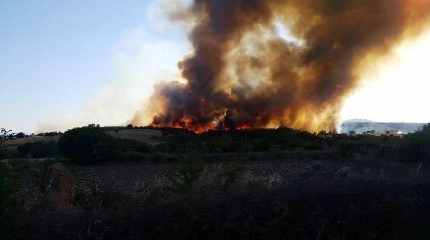 Bayrami&ccedil;&rsquo;te Orman Yangını