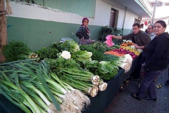 Barış, “rusya Krizinin Tarımsal İhracata Etkisi Derinleşiyor”