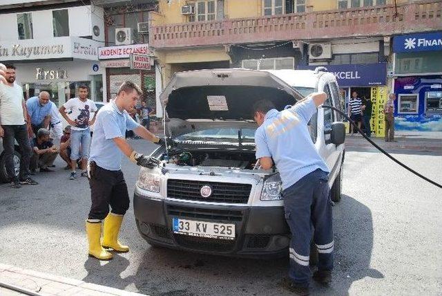 Otomobilde Yılan Paniği 2