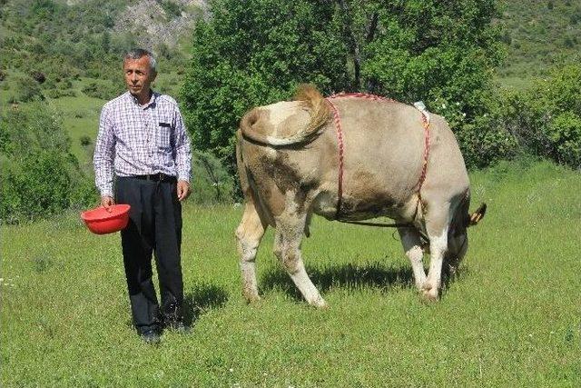 (özel Haber) Çan Yerine Gprs