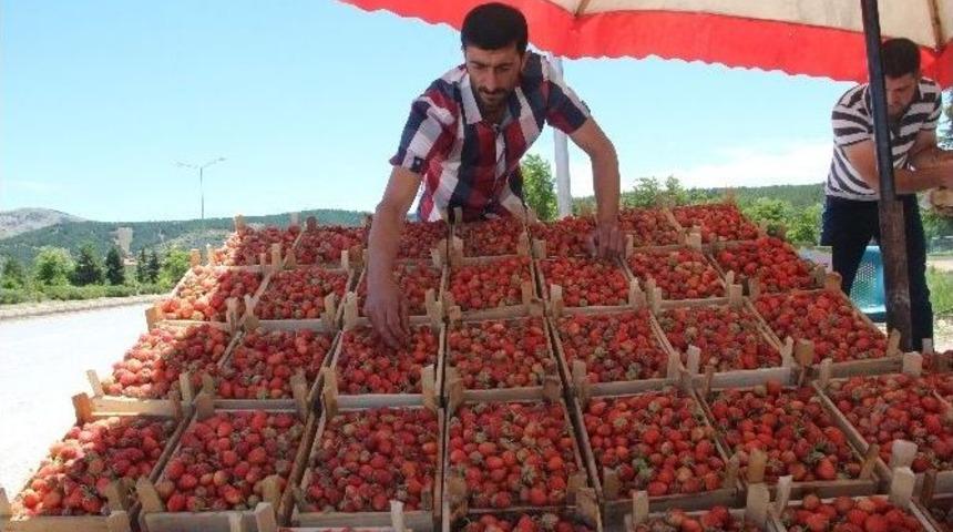 Elazığ&rsquo;a &Ouml;zg&uuml; Meşhur &lsquo;gezin &Ccedil;ileği&rsquo; Tezgahlara &Ccedil;ıkmaya Başladı