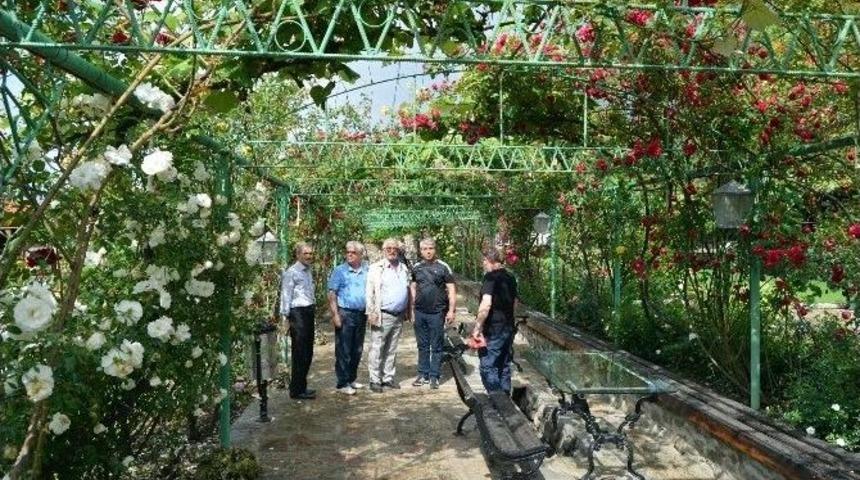 Konya&rsquo;da Lavanta Ve G&uuml;l &Uuml;retimi Artırılacak