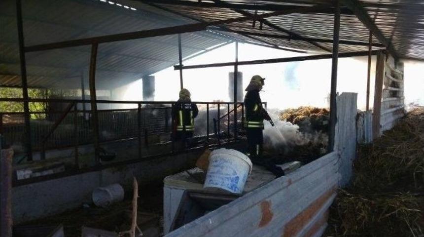 Ahır Yandı 1 B&uuml;y&uuml;kbaş Hayvan Telef Oldu