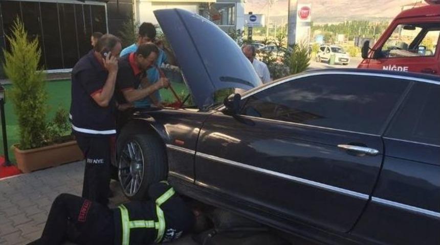 Niğde&rsquo;de Yavru Kediyi İtfaiye Ekipleri Kurtardı