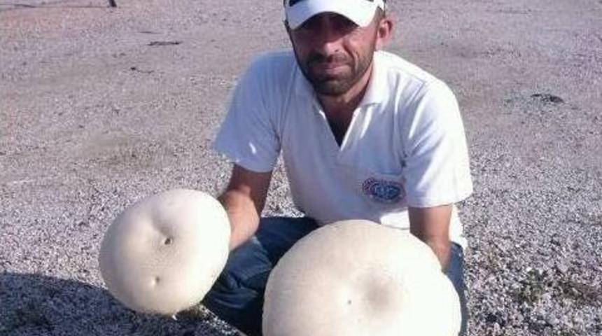 Dev Mantar G&ouml;renleri Şaşırttı