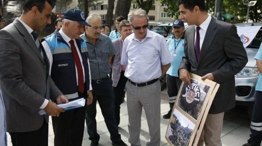 Orhangazi Sinekten Arındırılıyor