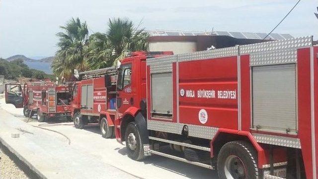 Bodrum’da Makilik Alanda Yangın