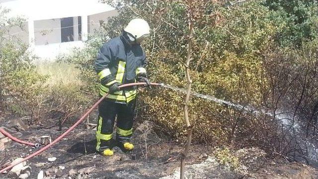 Bodrum’da Makilik Alanda Yangın