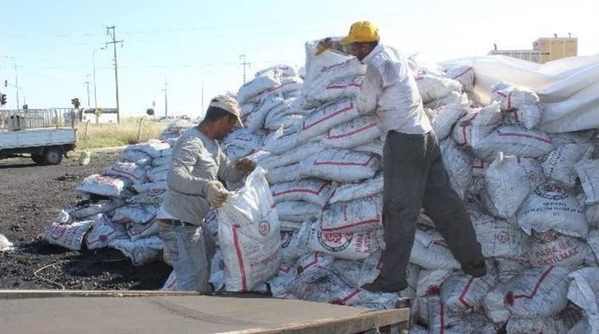 K&ouml;m&uuml;r Dağıtımı Erken Başladı