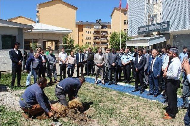 Gençler Huzur İçin Kurban Kesti