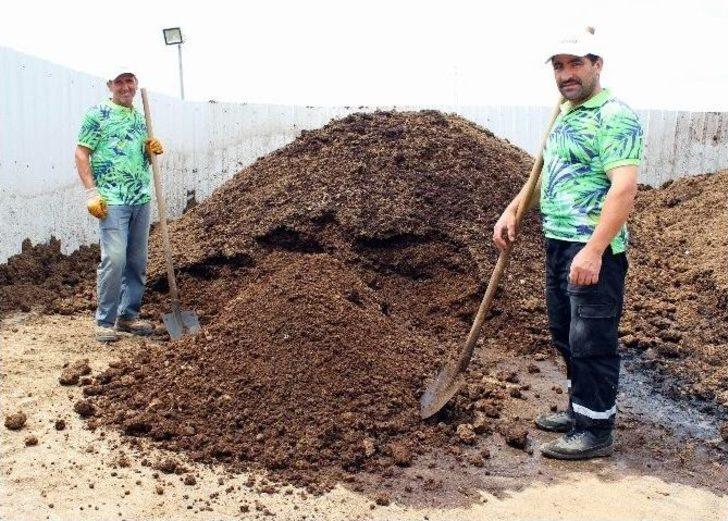 Karın Tokluğuna Çalışan Solucanların Gübresine Talep Yağıyor G5