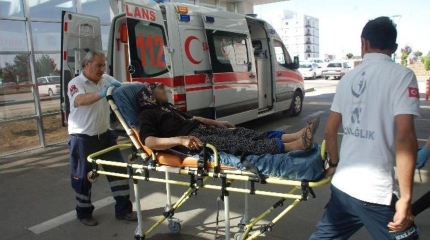 Yaşlı Kadın Sokak Ortasında Darp Edildi