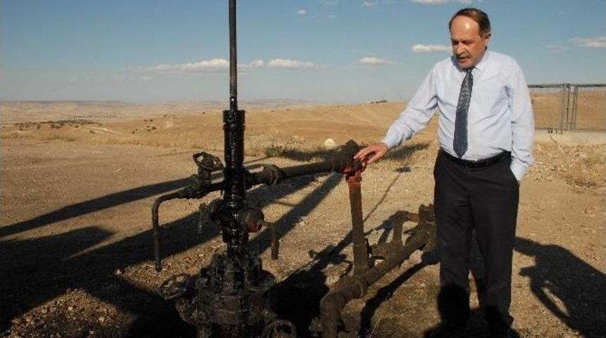 Rekt&ouml;r Adayından İlgin&ccedil; Petrol A&ccedil;ıklaması