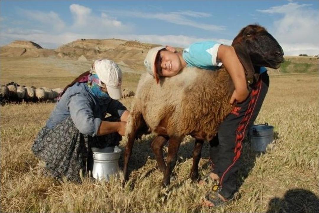 (&ouml;zel Haber) Berivanların Ramazan&rsquo;da Sıcakla İmtihanları