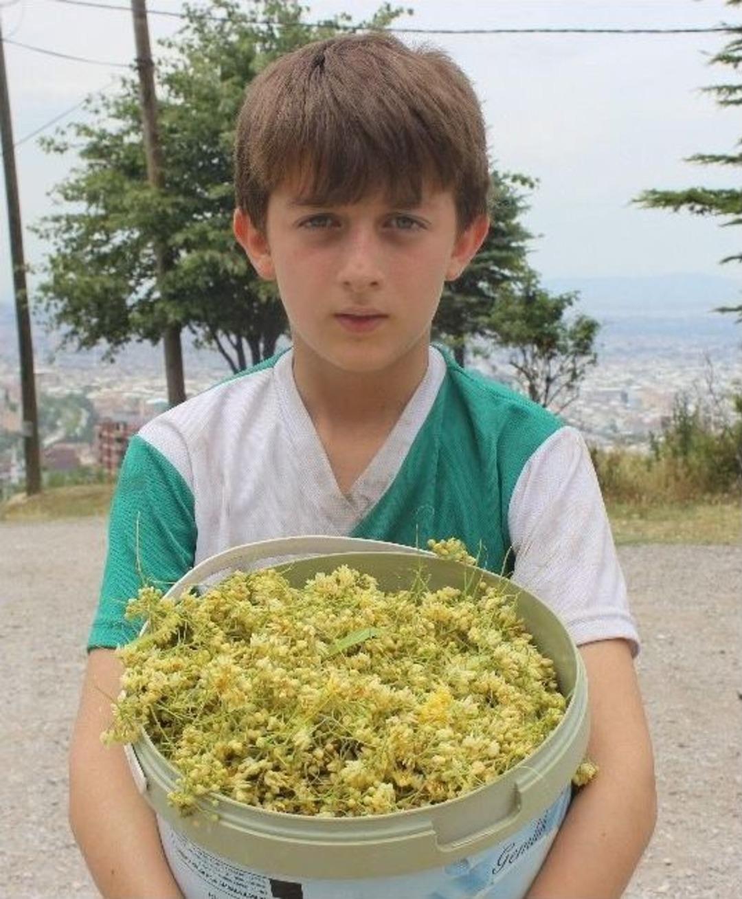 (&ouml;zel Haber) Ge&ccedil;en Yıl Fiyatı Altınla Yarışan Ihlamur Yarı Yarıya Ucuzladı