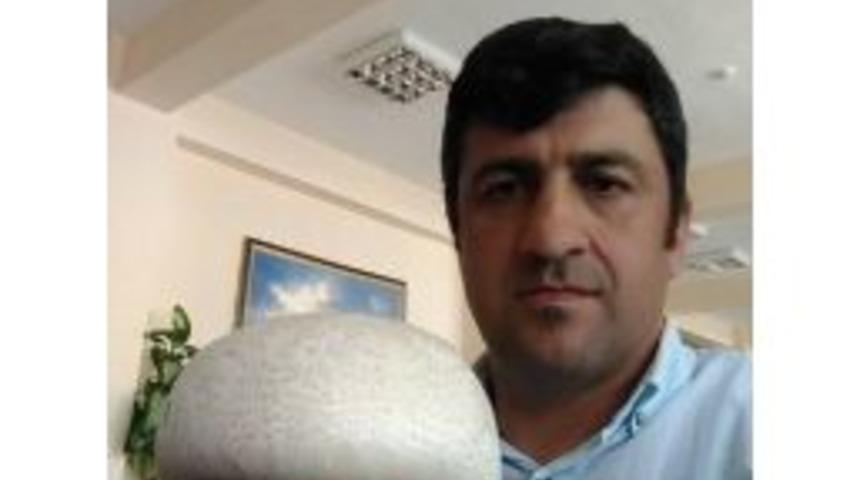 Doğada Bulunan Dev K&uuml;lt&uuml;r Mantarı G&ouml;renleri Şaşırttı