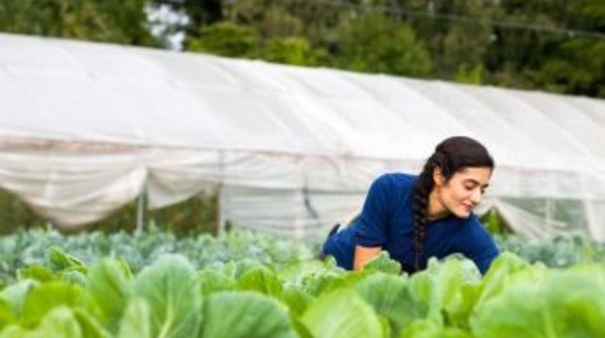 Aydın&rsquo;da 12 Bin Gen&ccedil; &Ccedil;ift&ccedil;i Hibe Başvurusu Yaptı