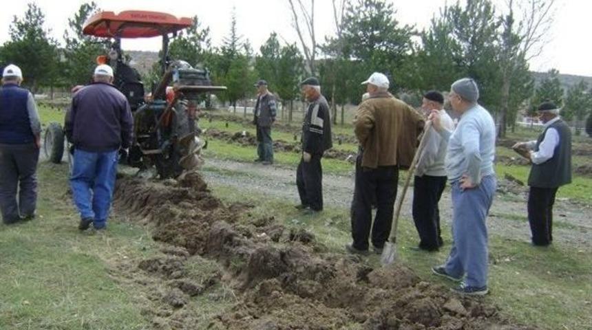 Orman B&ouml;lge M&uuml;d&uuml;rl&uuml;ğ&uuml;&rsquo;n&uuml;n Ağa&ccedil;landırma &Ccedil;alışmaları