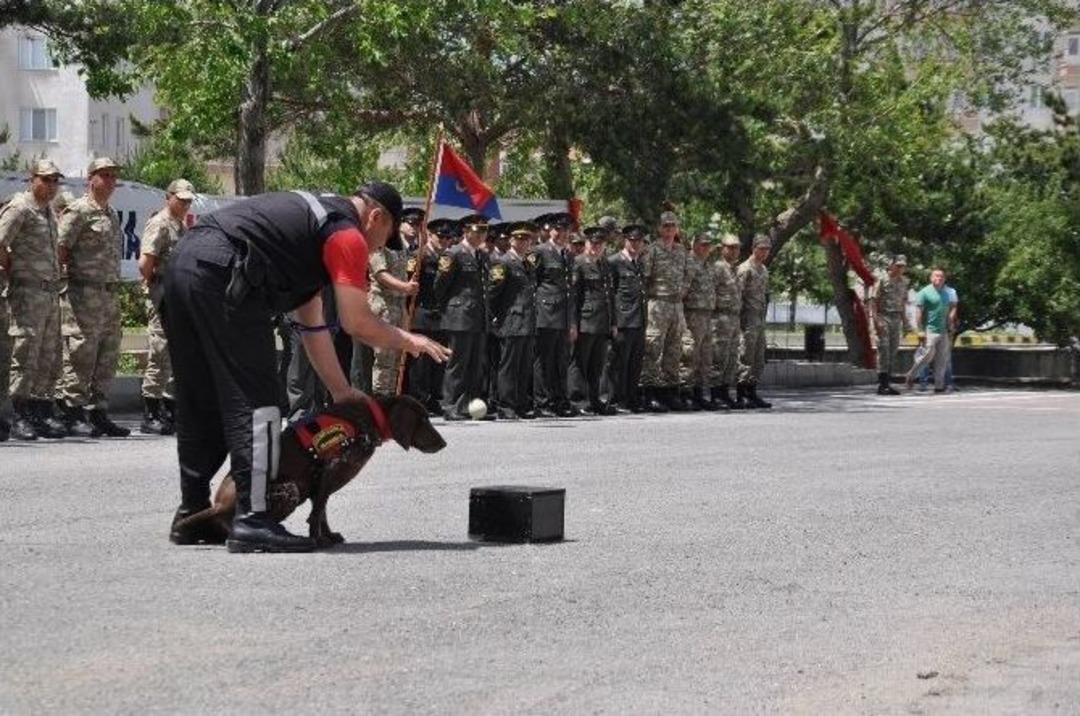 Jandarmanın Eğitimli K&ouml;peklerinden Nefes Kesen G&ouml;steri