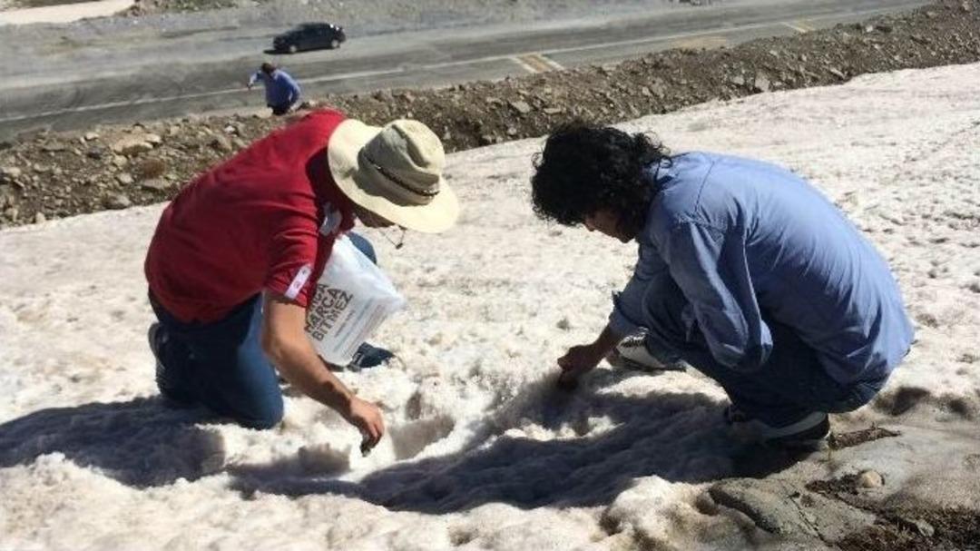 Yaz Ortasında Kış Manzaraları