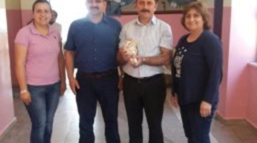 Yaralı Baykuş Tedavi Altına Alındı