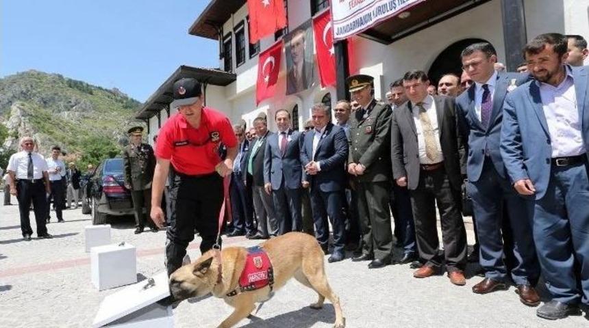 &lsquo;atak&rsquo; Şov Yaptı
