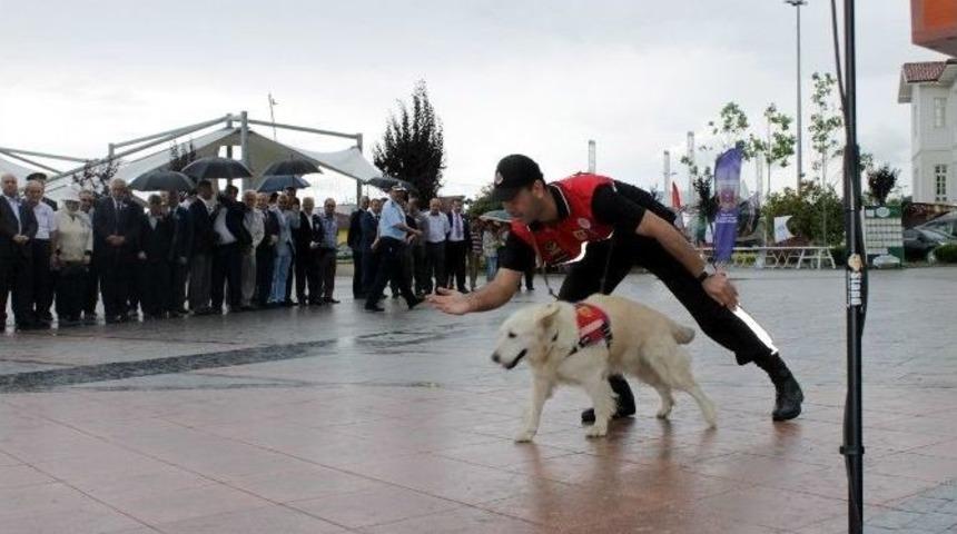 Jandarmanın Kuruluş Yıld&ouml;n&uuml;m&uuml; Yalova&rsquo;da Kutlandı