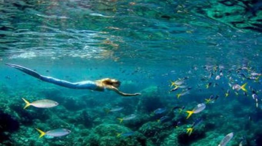 Yarı insan yarı balık!