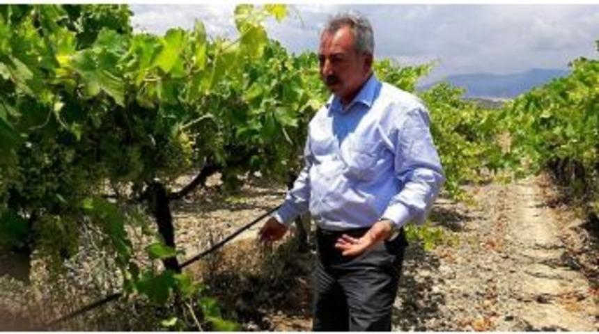 Chp&rsquo;li Nurlu: &ldquo;g&uuml;bre Bombası Manisa Tarlasında Patladı&rdquo;