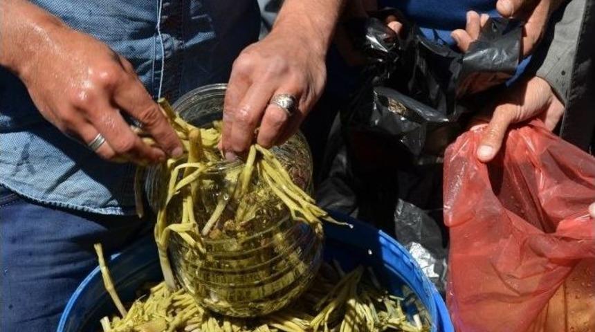 Jağ Turşusuna Yoğun İlgi