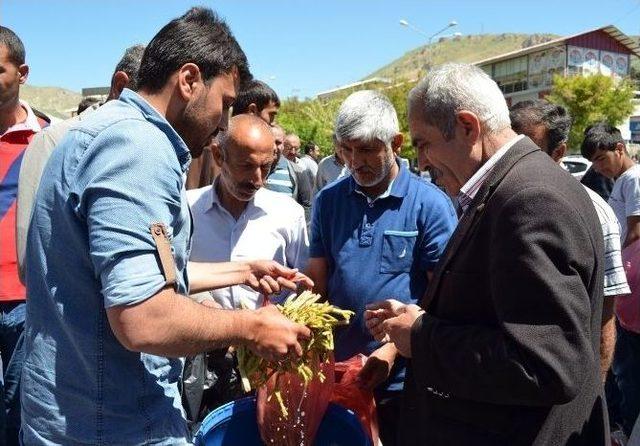 Jağ Turşusuna Yoğun İlgi