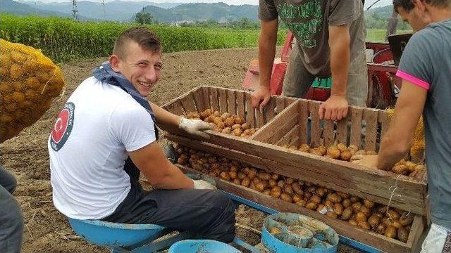 Bosna Hersek Bratunac’ta İstihdamı Arttıracak Yeni Tarım Projesi